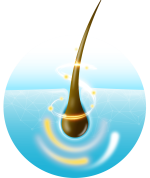Hair_Bulb-1.png